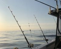 sandyhook fishing 118 20200406