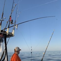 sandyhook fishing 121 20200406