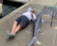 shark fishing 1 20200707