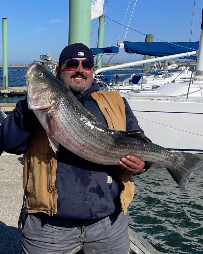 312943165 568056408654034 n